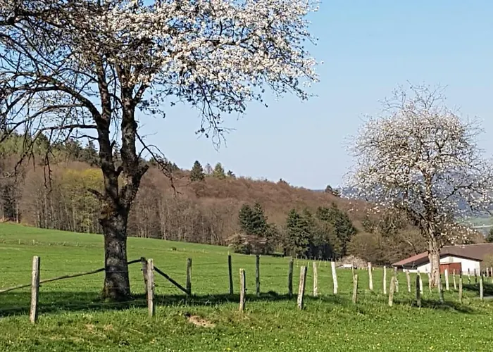 Feriehus 